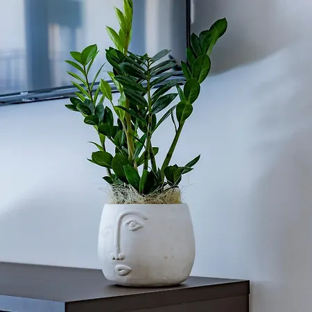 Urban Oasis 바리