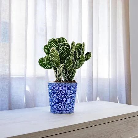 Urban Oasis Гостевой дом