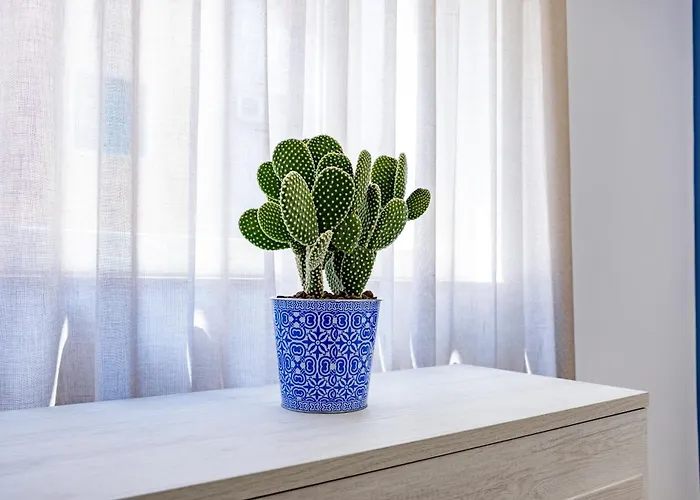 Urban Oasis 招待所